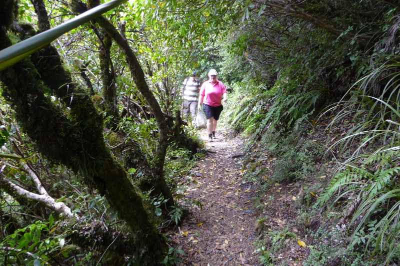 Nieuw-Zeeland 2011 - 0821